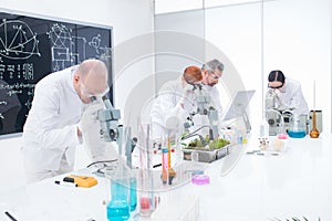 Under microscope analysis