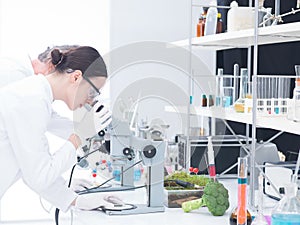 Under microscope lab analysis