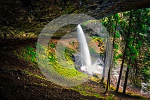 Under the North Falls Cave, Silver Falls State Park