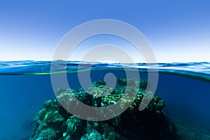 An under over split shot of a coral reef rising out of deep, clear blue water on a sunny day on the Great Barrier Reef