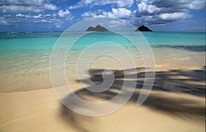 Under palm tree on Lanikai Beach