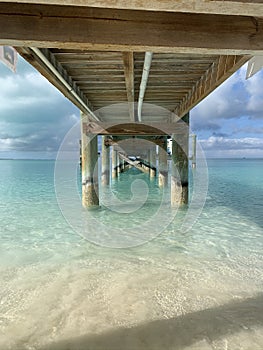 Under the Pier In Exuma  Bahamas