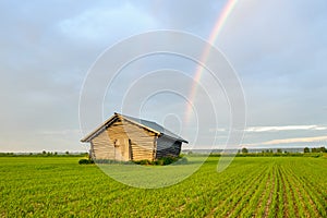 Under the Rainbow