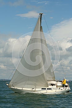 Under sails photo