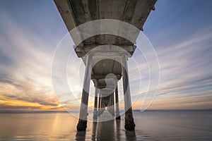 Under Scripps Pier in La Jolla