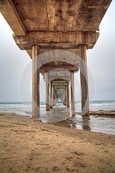 Under the Scripps pier in La Jolla