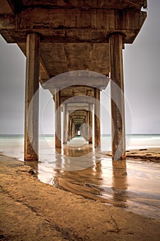 Under the Scripps pier in La Jolla