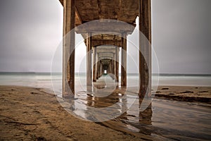 Under the Scripps pier in La Jolla