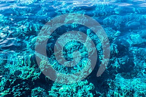 Under the sea Visible