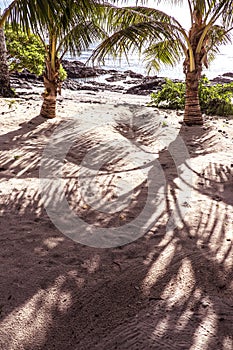 Under the shade of palm tree fronds on a sandy beach at Lefaga,