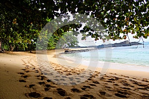 Under the shade of a tree in a beautiful beach with clear water in Sao Tome and Principe Island, in Africa