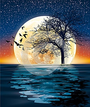 Huge moon and a tree on the water