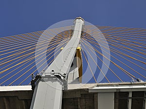 Under a suspension bridge across the Chao Phraya River. The golden sling that holds the bridge.