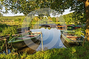 Under the trees, boats in the harbor at Lake