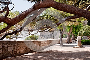 Under the trees on square near Frankopan fortress at Krk