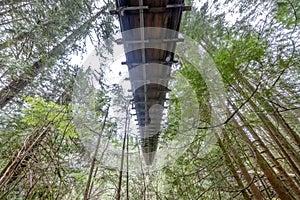 Under view of the Suspension bridge crossing the Capilano River in Upper Capilano in Vancouver