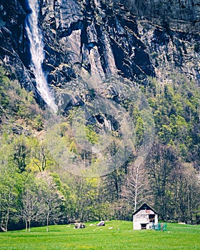 Under a waterfall photo