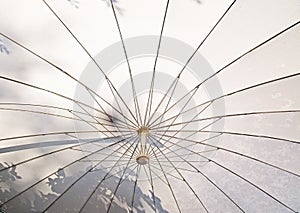 Under white umbrella