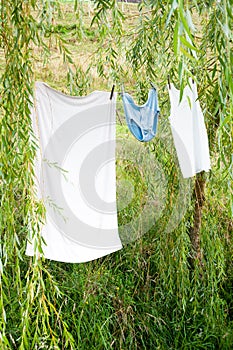 Undergarments drying on clothesline