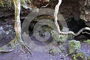 Underground caves in Rangitoto Island New Zealand