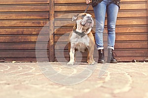 Underground girl walking with her bulldog in the streets