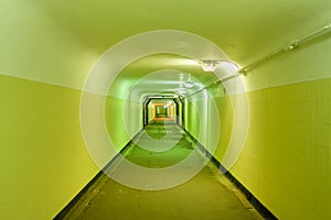 Underground pedestrian tunnel with green walls