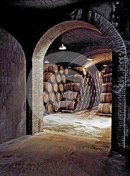 Underground Wine Cellar
