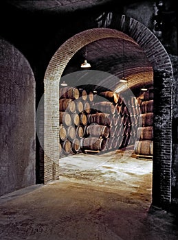 Underground Wine Cellar photo