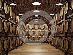 Underground wine cellar with arch shape brick structure 3d render