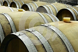 Underground wine cellar with rows of wooden barrels 3