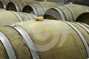 Underground wine cellar with rows of wooden barrels 2