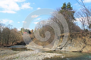 Undermined river bank