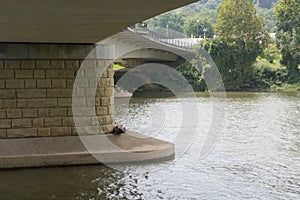 Underneath the bridge