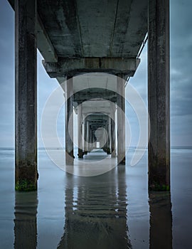 Underneath Scripps Pier, La Jolla