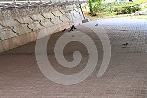 Underpass Brick Concrete Sidewalk Background