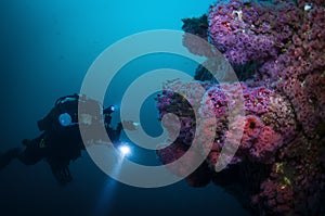 Undersea Explorer photographing the marine life.