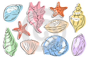 Undersea shell set line art style. Summer design of scallop, starfish and seashells for sea food restaurant, fish menu