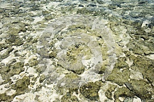 Undersea Texture: Mystery Island