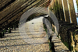 Underside of coastal timber breakwater on a shingle beach