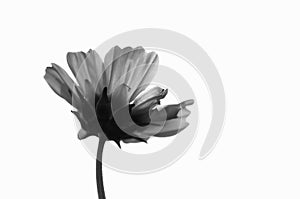 Underside of the cosmos