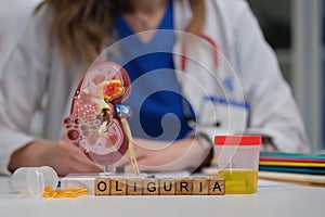 Understanding Oliguria in Kidney Function A Comprehensive Medical Perspective and Analysis