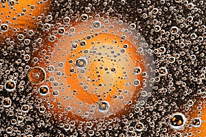 Underwater air bubbles in the black-and-orange.