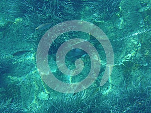 UNDERWATER. Anchor on stainless steel chain at the bottom of the sea off the coast of the KASTOS island, Lefkada
