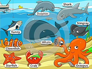 Underwater animals and fish with names cartoon