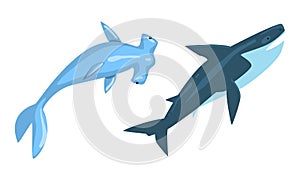 Underwater Animals with Winghead Shark and Whale Vector Set