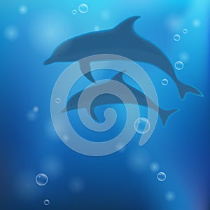 Underwater background with dolphins