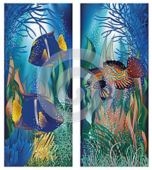 Underwater banners and tropicals fish