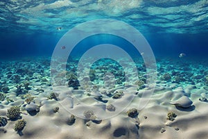 Underwater blue ocean background with sandy sea bottom and coral reefs.