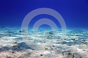 Underwater Blue Ocean, Sandy sea bottom Underwater background