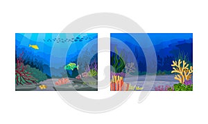 Underwater Bottom View with Algae and Sea Weeds Vector Set.